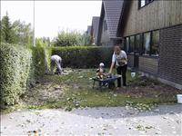 �ven v�ra barrv�xter som stod vid v�ggen f�rsvann