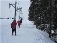 Vargliften �r en knapplift