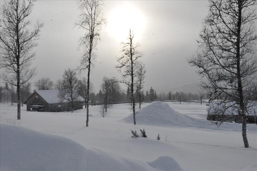 Solen tittade fram lite