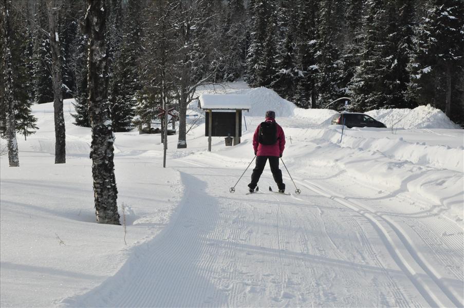F�rsiktig plogning utf�r