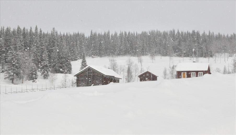 Sellstedtstorpet - det kom en sn�by precis n�r vi kom fram f�rsta dagen