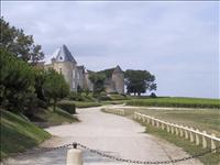 Mest ber�mt i dessa trakter - d'Yquem