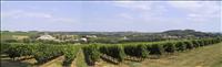 Vy vid Ch�teau de Malle