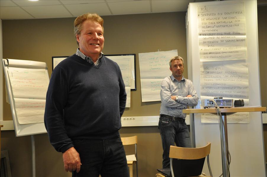 Myggan och Stefan hj�lpte oss att komma fram till ett resultat