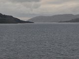 DSC 0046