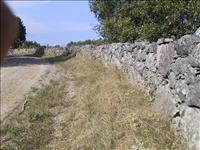 ...vackra steng�rdesg�rdar