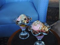 Efter utflykten bj�ds p� frukt- och glassparty