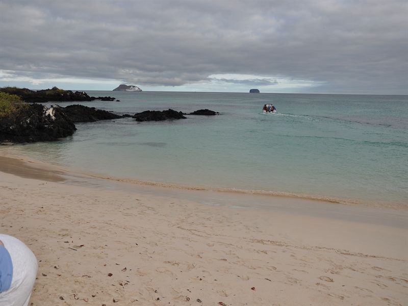Tidigt p� morgonen kom vi till Bachas beach p� v�r sista utflykt p� Galapagos