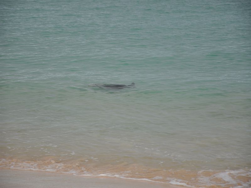 DSC_0424.JPG