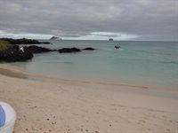 Tidigt p� morgonen kom vi till Bachas beach p� v�r sista utflykt p� Galapagos