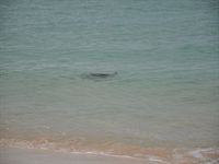 DSC_0424.JPG