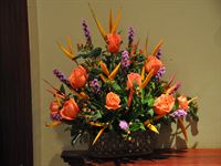 Tillbaka p� hotellet