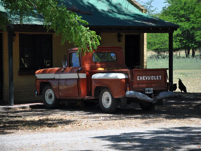 Man ser ganska m�nga gamla amerikanska pick-up:er h�r