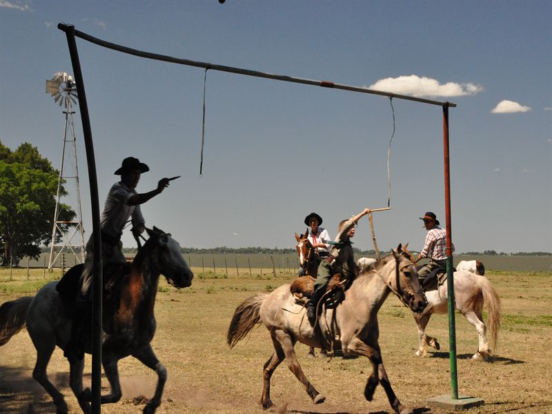 I st�llningen h�nger sm� ringar som de ska tr�ffa med pinnen i full galopp- Den lille killen �r j�tteduktig.