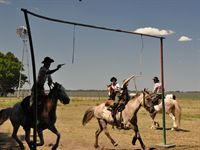 I st�llningen h�nger sm� ringar som de ska tr�ffa med pinnen i full galopp- Den lille killen �r j�tteduktig.