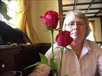 Rosor (riktiga)
