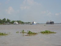 DSC 8712