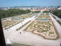 DSC 6101