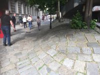 IMG 2188